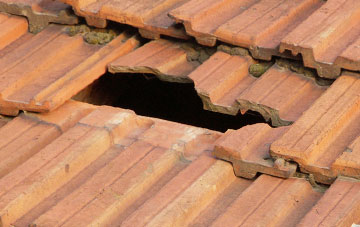 roof repair Hopesay, Shropshire